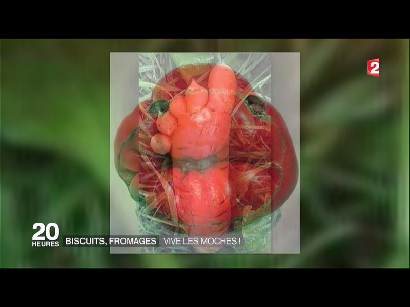8g.6. Antenne 2 Les fruits moches IMG_5535 (1)